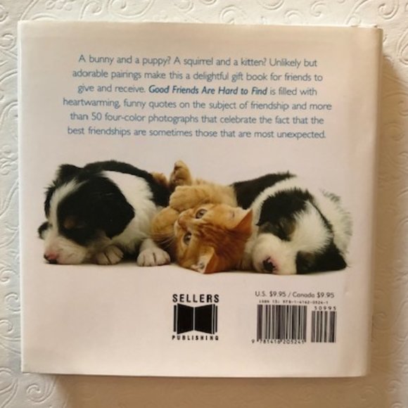 Dog Lovers Canine Socks Cards Treats Book NWT Set - Picture 6 of 11